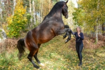 Lenas hästar okt 202140