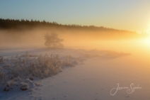 Sunne, Värmland julen -2225